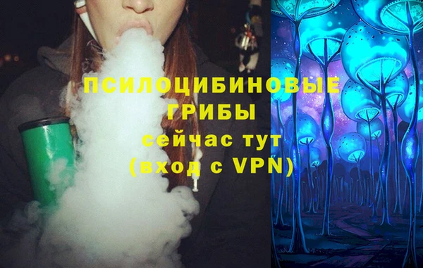 спайс Алексеевка