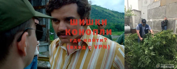 спайс Алексеевка