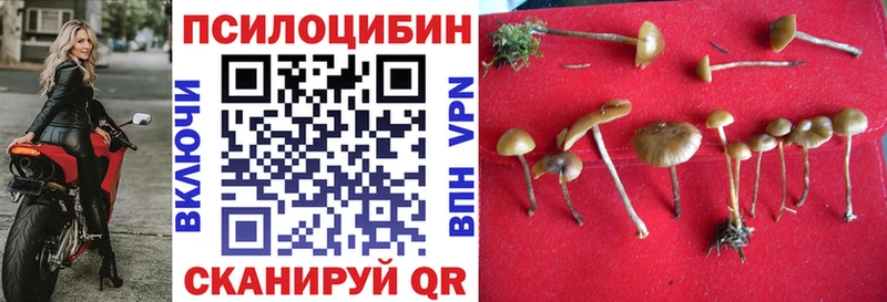 Псилоцибиновые грибы MAGIC MUSHROOMS  где можно купить   Волхов 